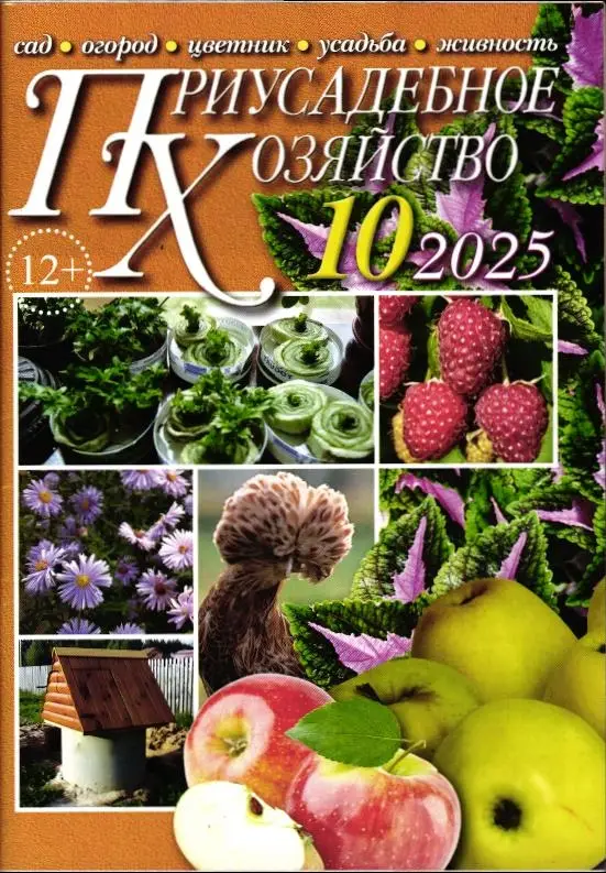 Приусадебное Хозяйство 10/25