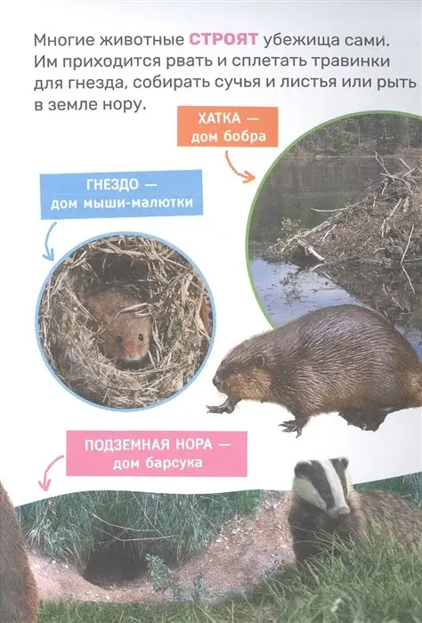 Уценка. Животные. Первая энциклопедия малыша