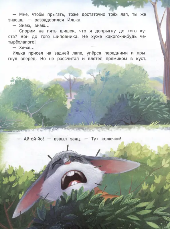 Уценка. Липовая лапа