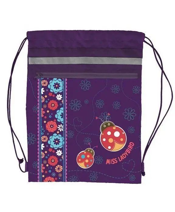 Рюкзак школьный Hatber Compact Plus "Ladybird" (NRk_40644)