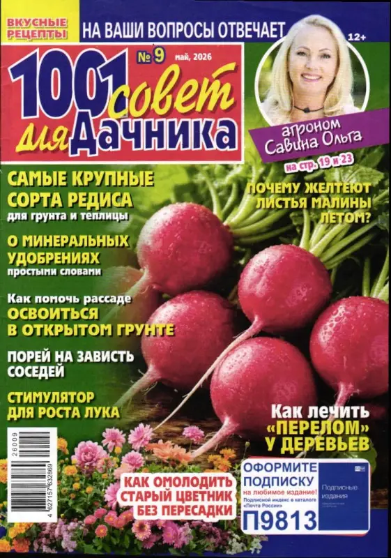 1001 совет для дачника 09/26