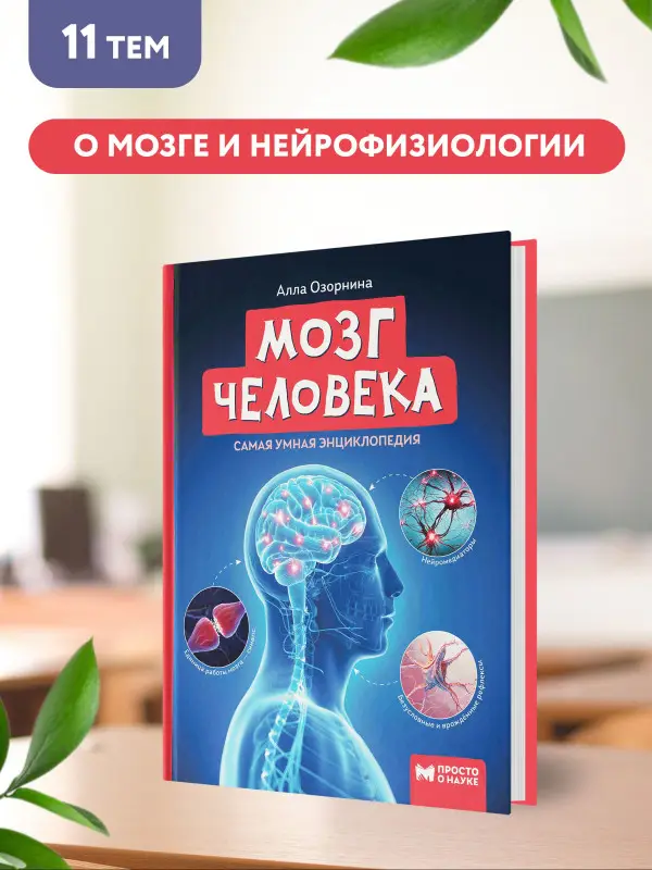 Уценка. Мозг человека. Самая умная энциклопедия