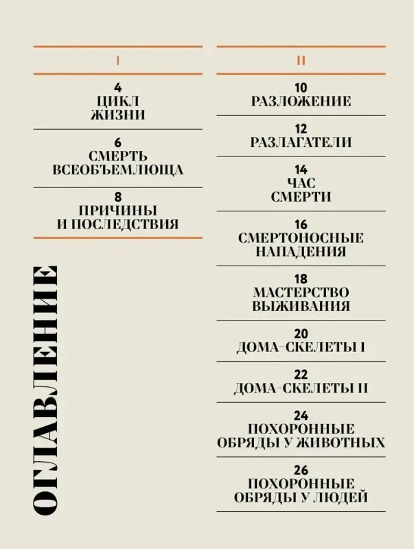 Уценка. Мариньо Соледад Ромеро: Чудесная книга смерти