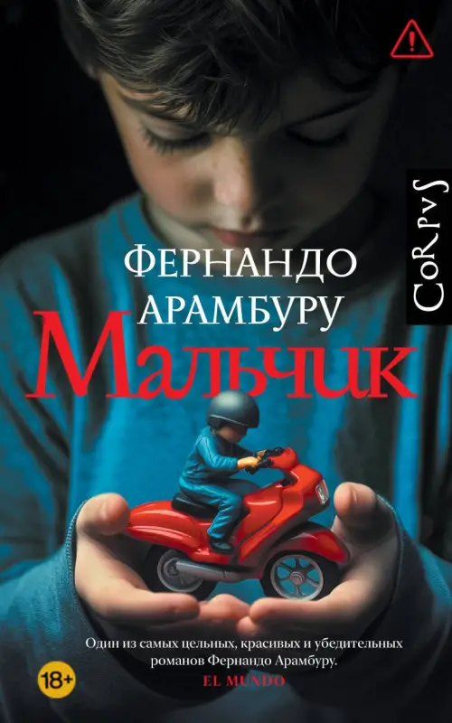 Уценка. Арамбуру Фернандо: Мальчик
