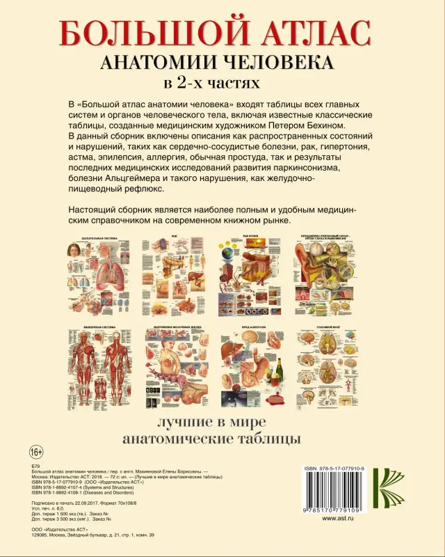 Уценка. Большой атлас анатомии человека