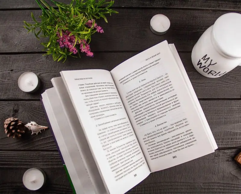 Уценка. Тайные виды на гору Фудзи