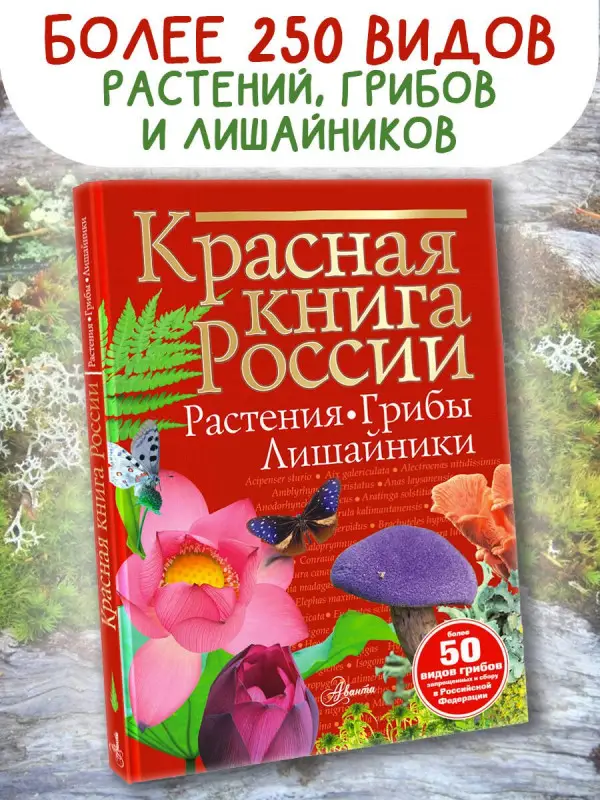 Пескова Ирина Михайловна: Красная книга России. Растения. Грибы. Лишайники