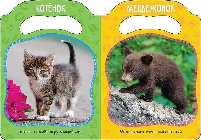 Уценка. Пушистые малыши. Мир в ладошке