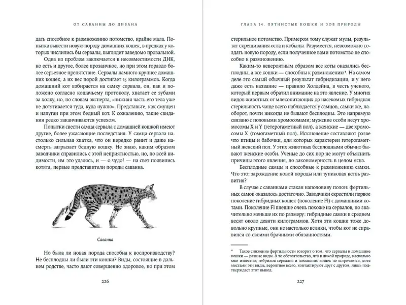 Уценка. Лосос Джонатан Б.: От саванны до дивана. Эволюционная история кошек