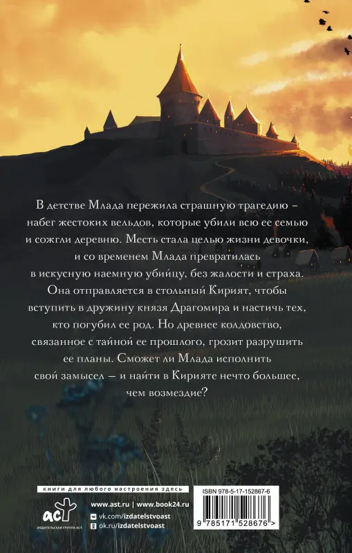 Счастная Елена Сергеевна: Воин забвения. Гранитный чертог