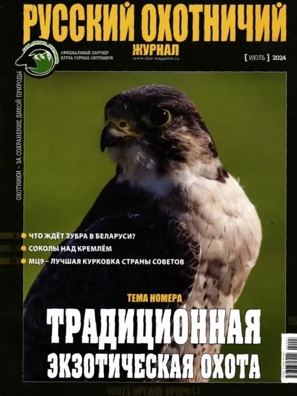 Русский Охотничий 07/24