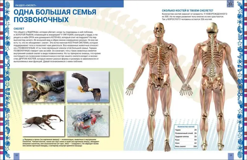 Уценка. Человек. Большая энциклопедия