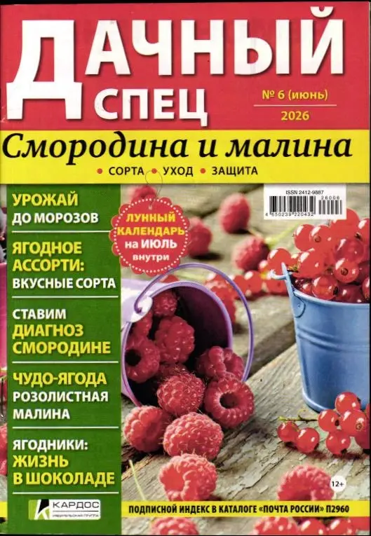 Дачный спец 06/26