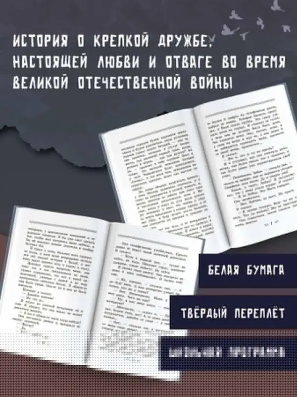Драгунский Виктор Юзефович: Он упал на траву...