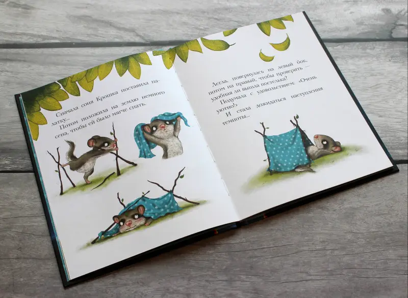 Сабина Больманн. История маленькой сони, которая совсем не боялась темноты