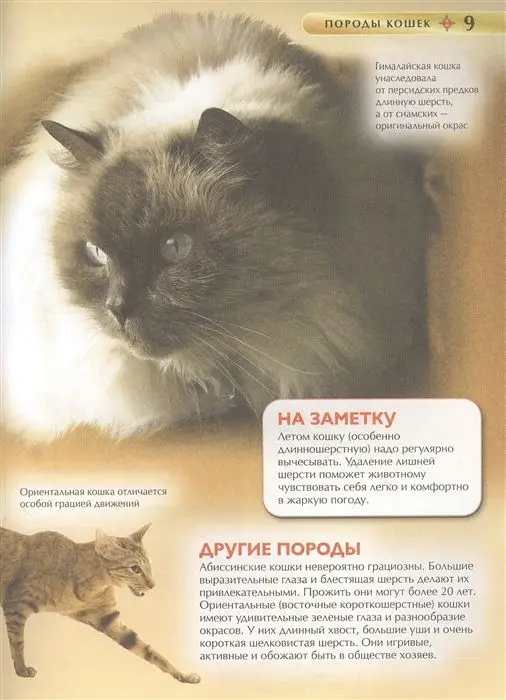 Лучшая иллюстрированная энциклопедия для девочек