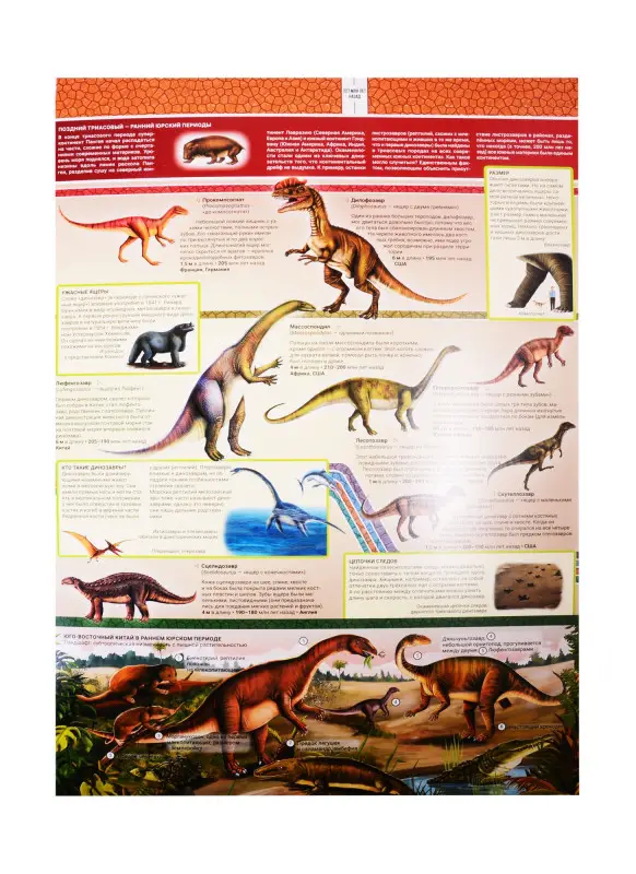 Уценка. Мильнер Анжела: Большая книга динозавров