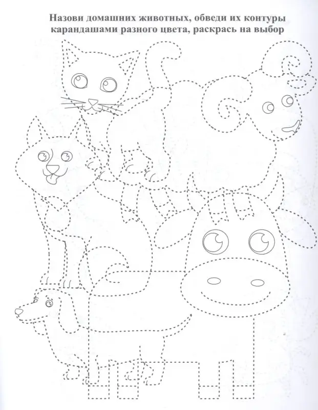 Уценка. Березенкова Татьяна Валерьевна: Находилочки. Обведи и раскрась. Узнавайка