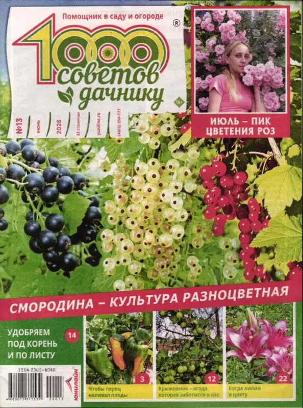1000 советов дачнику 13/26