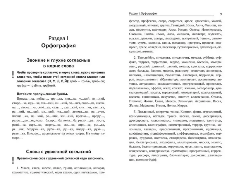 Тренажер по русскому языку. Орфография. Пунктуация