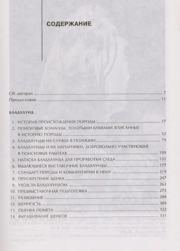 Уценка. Бладхаунд