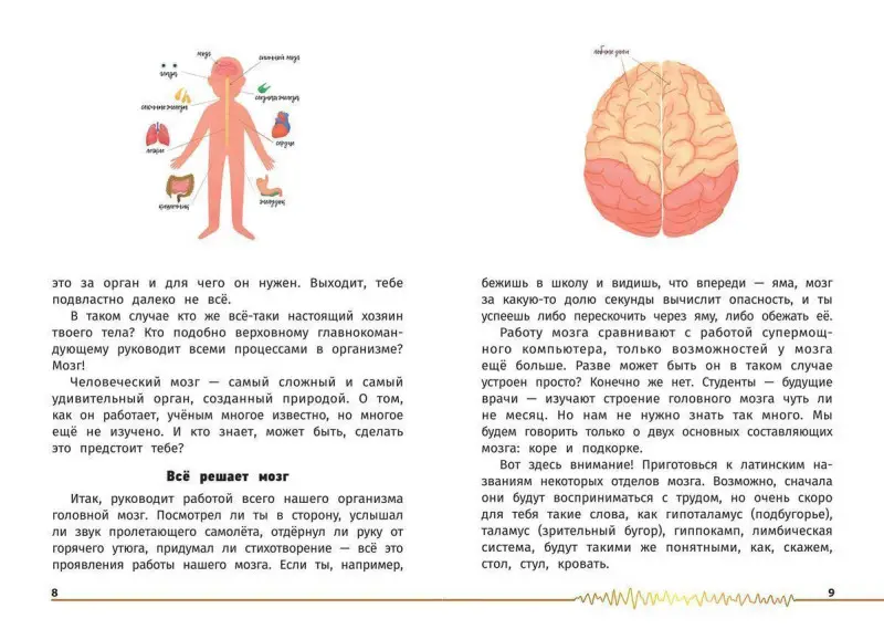 Уценка. Алла Озорнина: Не просто серое вещество! Изучи свой мозг и включи его!