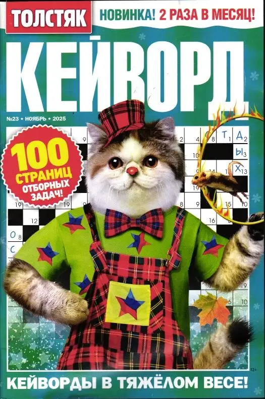 Кейворд Толстяк 23/25