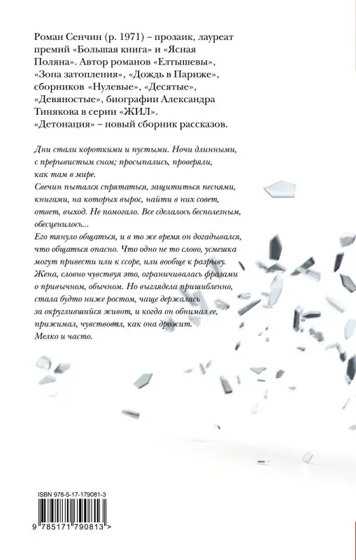 Сенчин Роман Валерьевич: Детонация