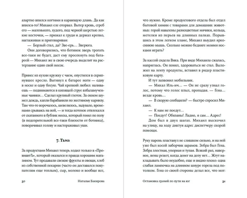 Бакирова Наталья: Остановка грачей по пути на юг