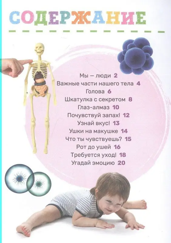 Уценка. Тело человека. Первая энциклопедия малыша