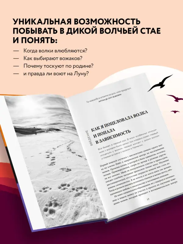 Уценка. Элли Х. Рэдингер. Сила волчьей стаи. Реальные истории из жизни диких хищников