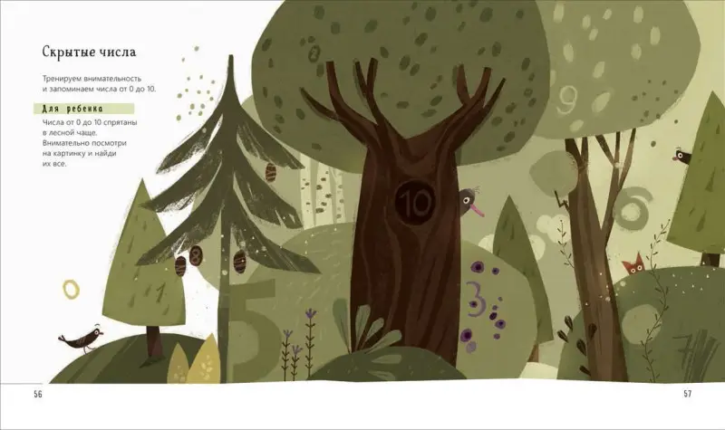 Наука математика