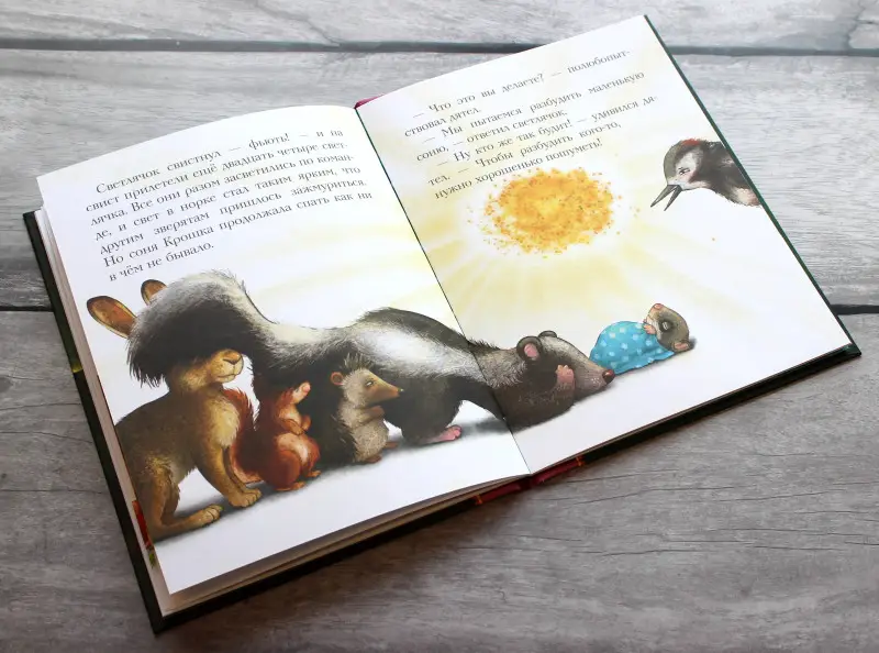 Сабина Больманн. История маленькой сони, которая никак не просыпалась