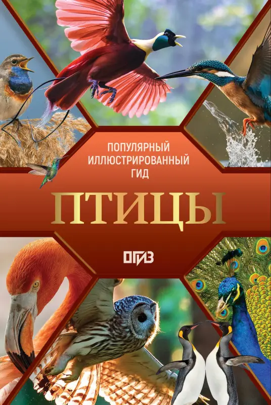 Спектор Анна Артуровна, Папуниди Елена Алексеевна: Птицы. Иллюстрированный гид
