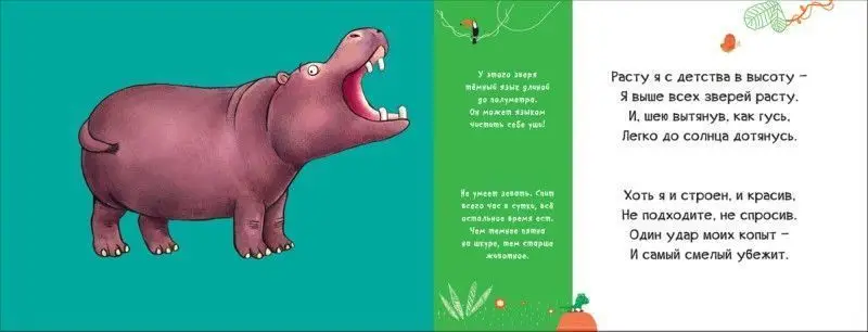 В Африке. Смешные половинки