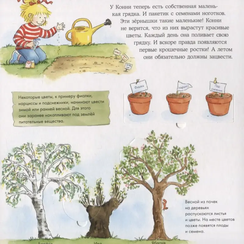 Шнайдер Лиана. Времена года с Конни (книга с окошками)