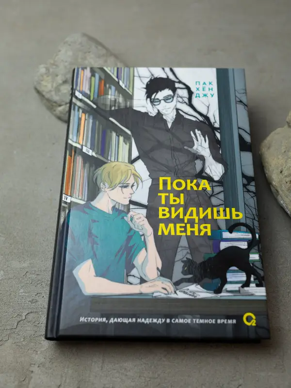 Уценка. Пак Хён Джу: Пока ты видишь меня