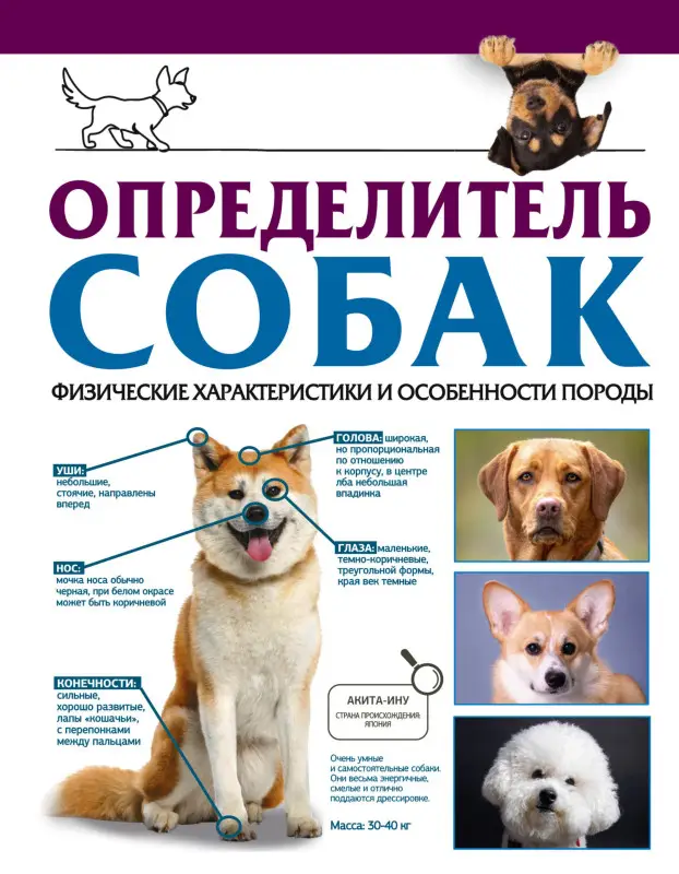 Барановская Ирина Геннадьевна: Определитель собак. Физические характеристики и особеннности породы