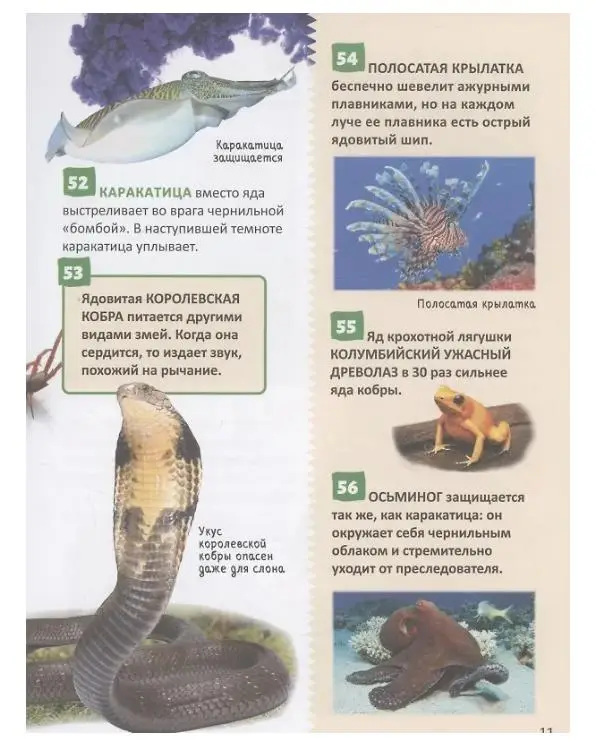 Уценка. Удивительные животные. 250 фактов. Энциклопедия российского школьника