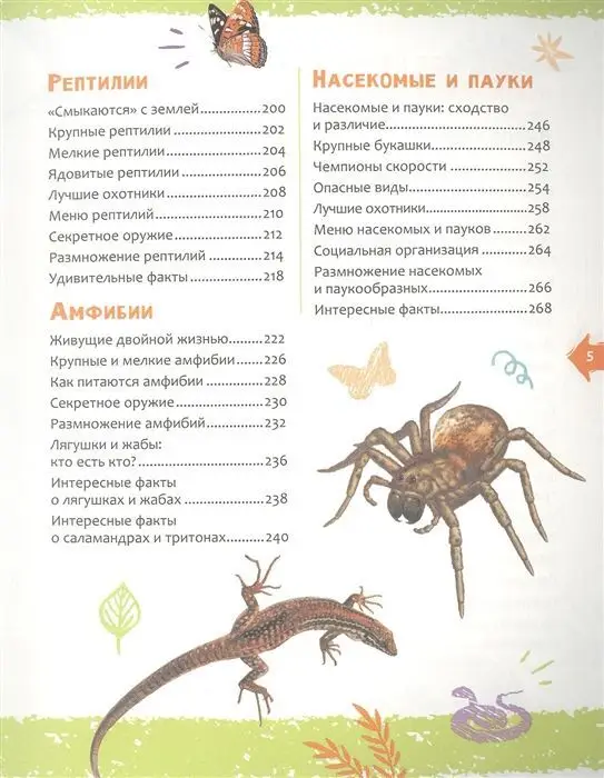 Уценка. Животные. Новая детская энциклопедия