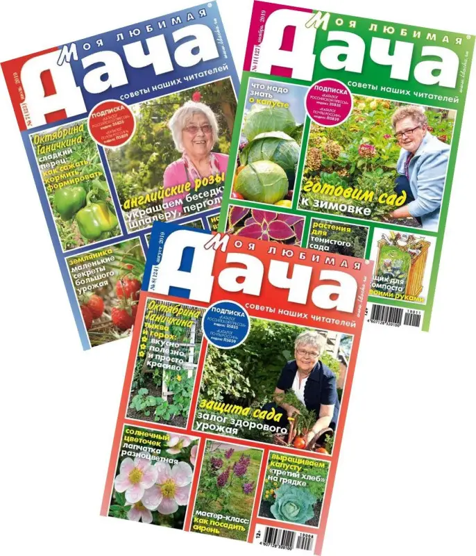 Комплект  журналов Моя любимая дача (7/19 + 8/19 + 11/19) Сад и огород