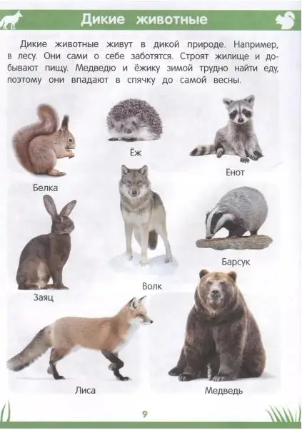 Этери Заболотная: Энциклопедия дошкольника. 3-4 года