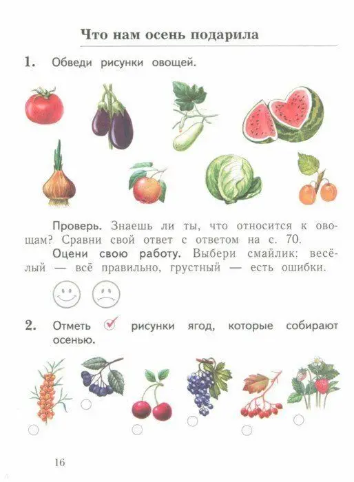 Окружающий мир. 1 класс. Проверяем свои знания и умения. Тетрадь №1 для проверочных работ. ФГОС 2019г
