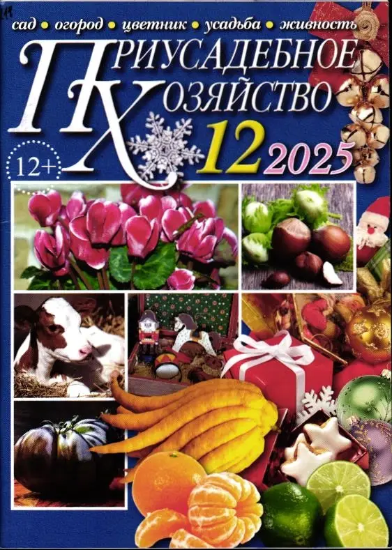 Приусадебное Хозяйство 12/25