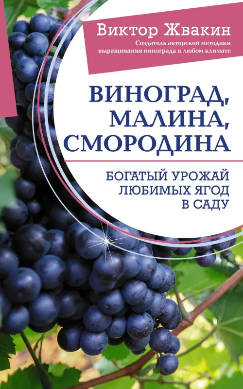 Жвакин Виктор Владимирович: Виноград, малина, смородина. Богатый урожай любимых ягод в саду