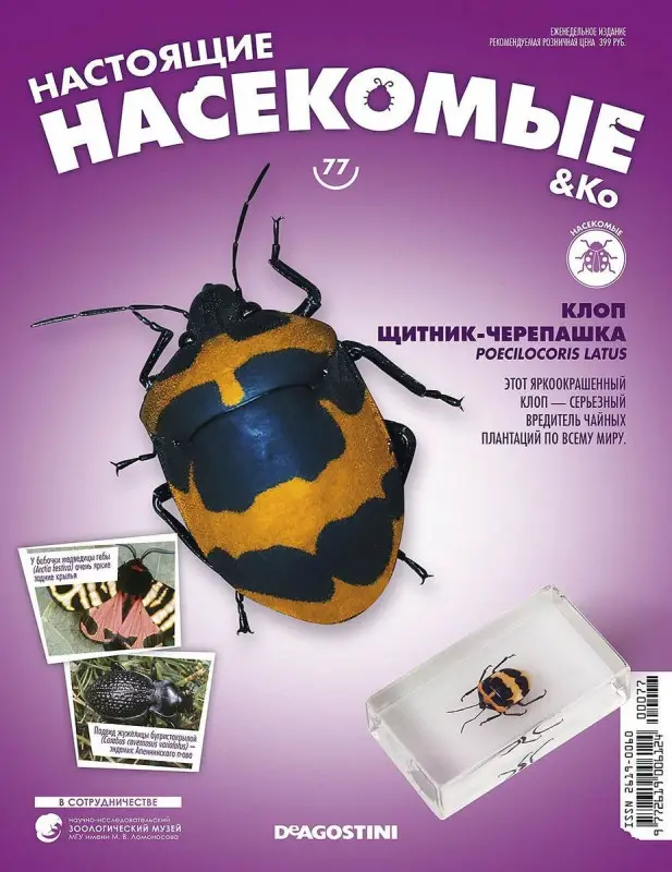Журнал № 77 "Настоящие насекомые" (Клоп щитник-черепашка )