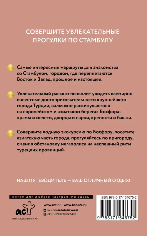 Бичанина Зинаида Ивановна: Стамбул. Путеводитель пешеходам