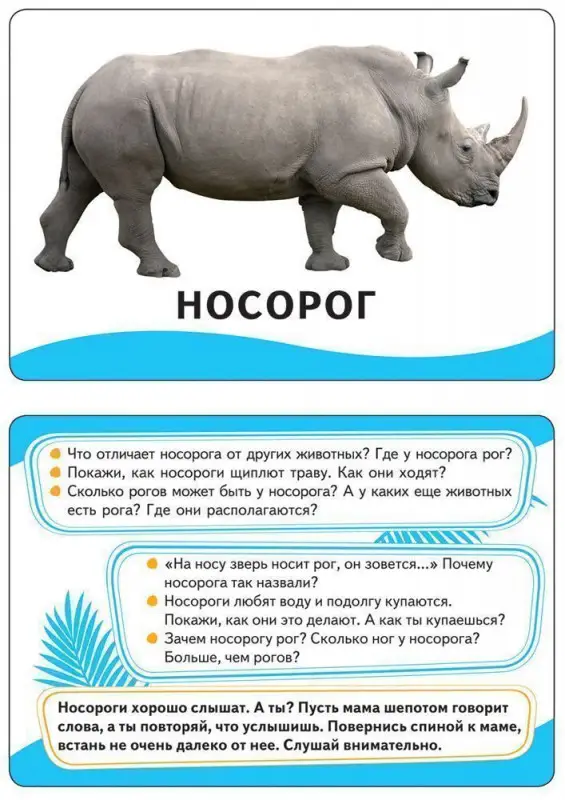 Уценка. Развивающие карточки. Животные