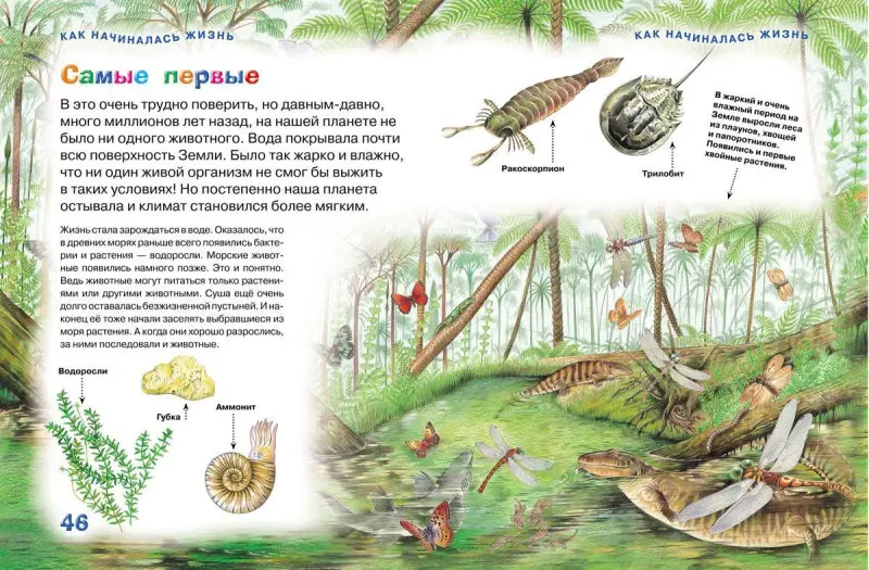 Новая энциклопедия для любознательных