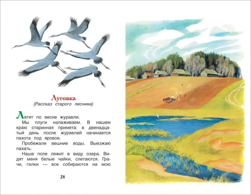 Уценка. Лисичкин хлеб